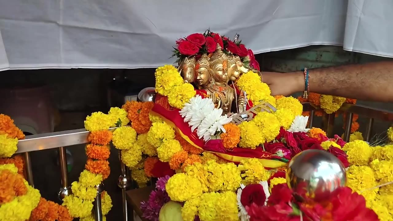 Panchkoshi Parikarma 1 November 2025 video 3